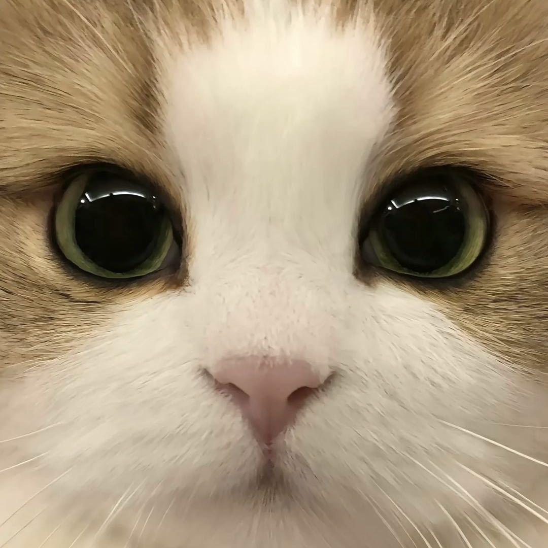 嫌我烦