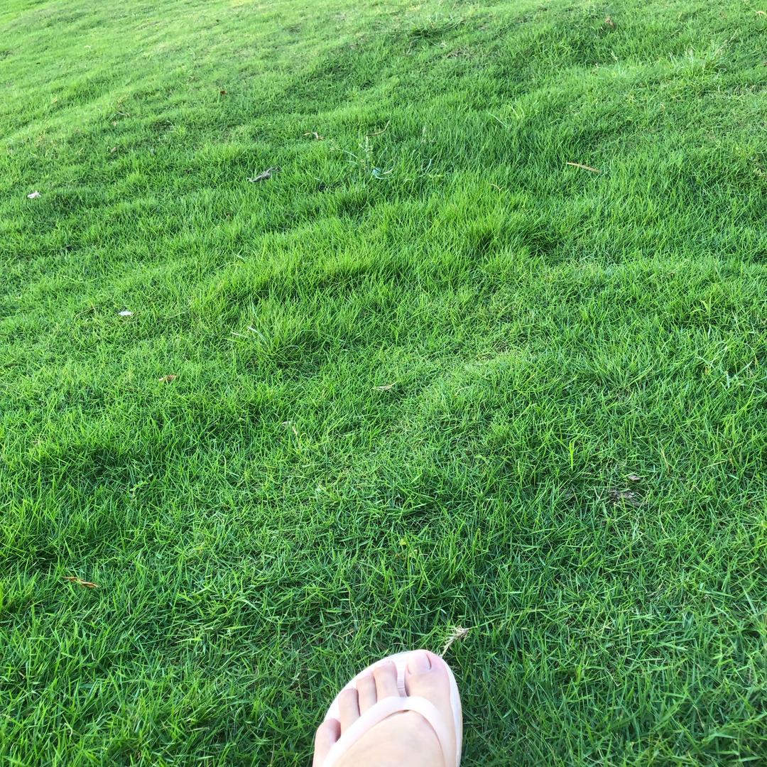 下饭剧窝
