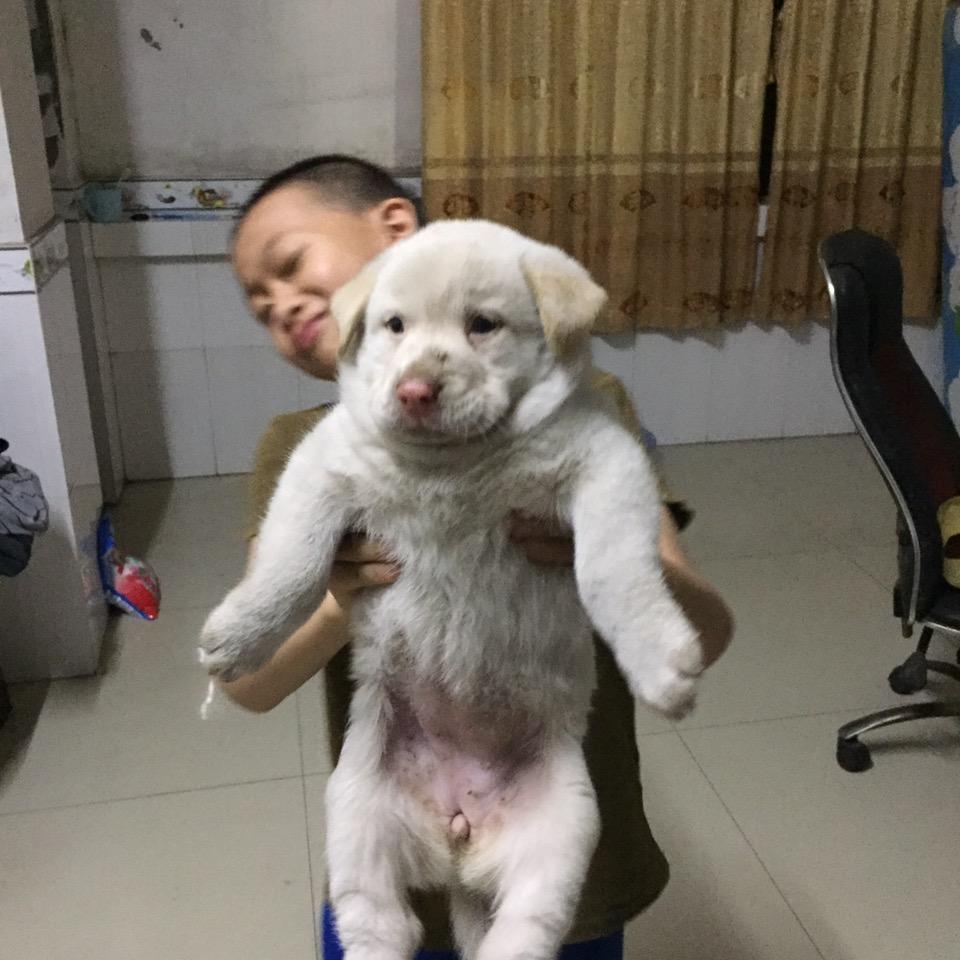 香记开锁