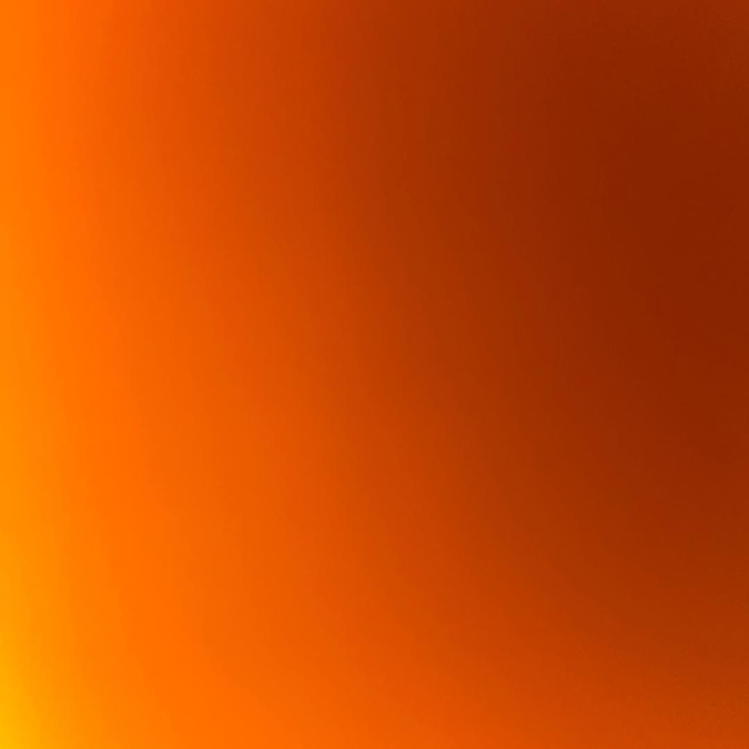 帝家的白鸾头像