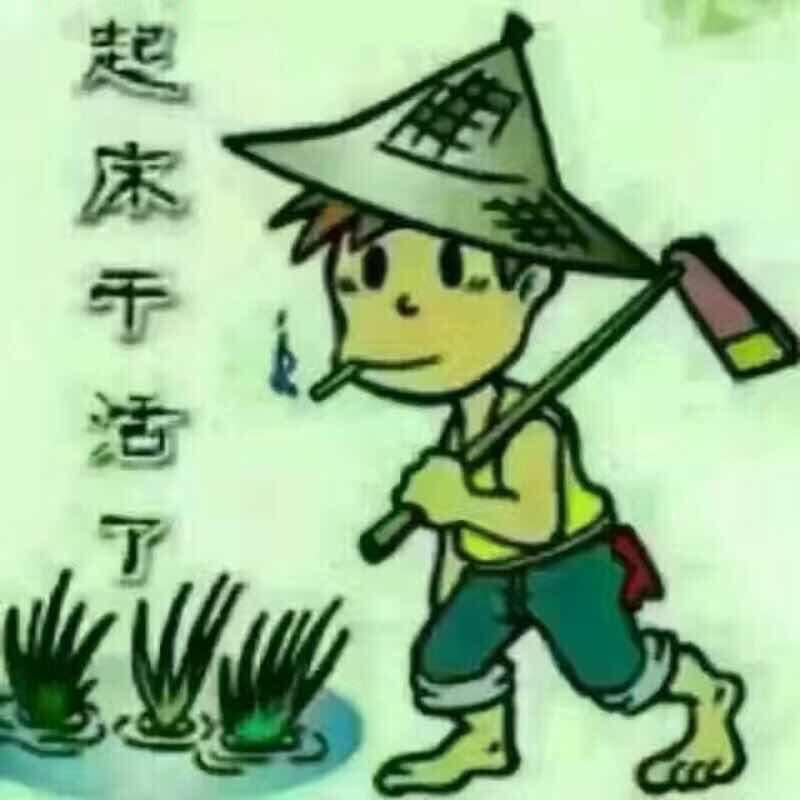 .。
