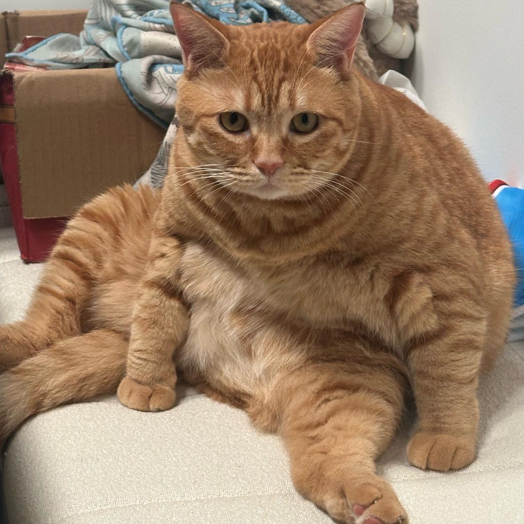 太阳