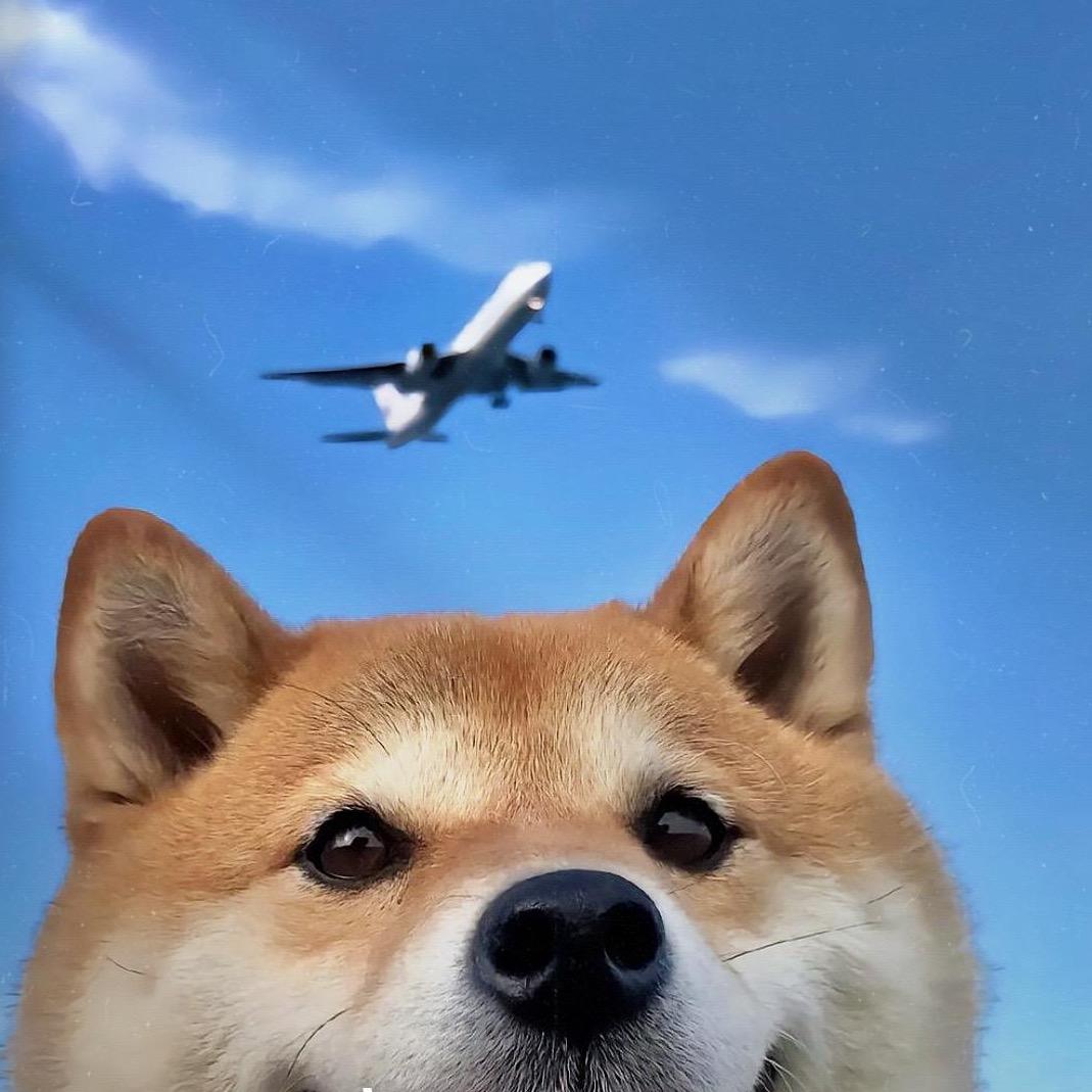 Y.闫