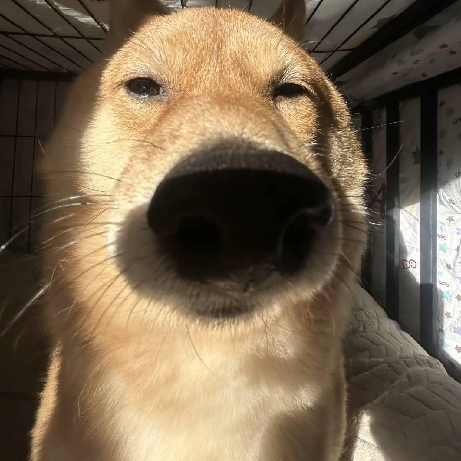 阎佛刀