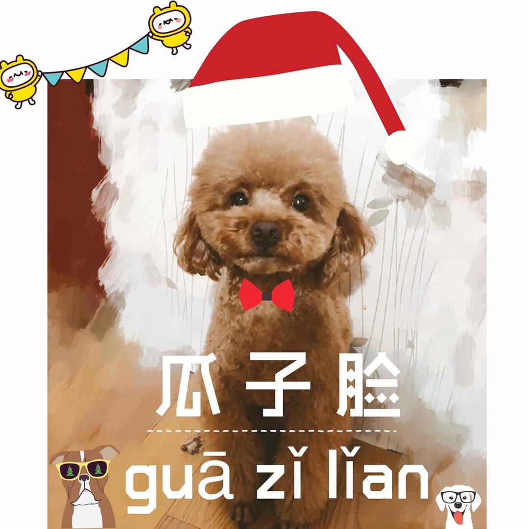 ⚔️虾仁不眨眼◼️▪️▪️