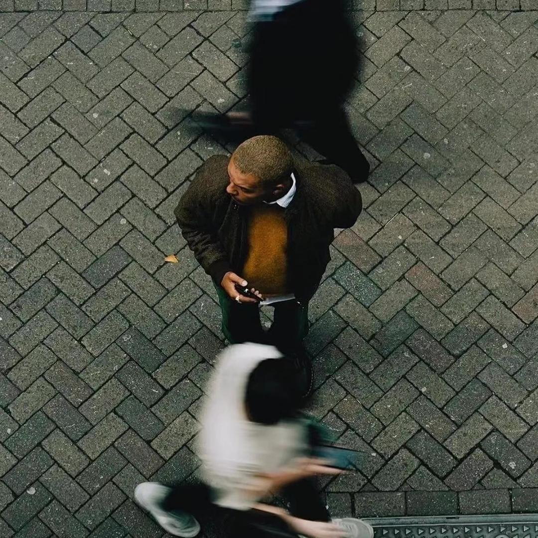 打麻将的是🐶