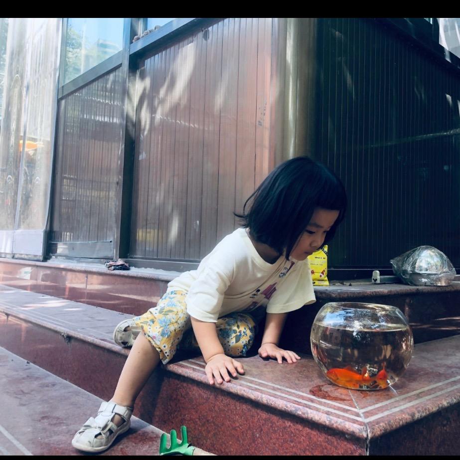 小米麻麻