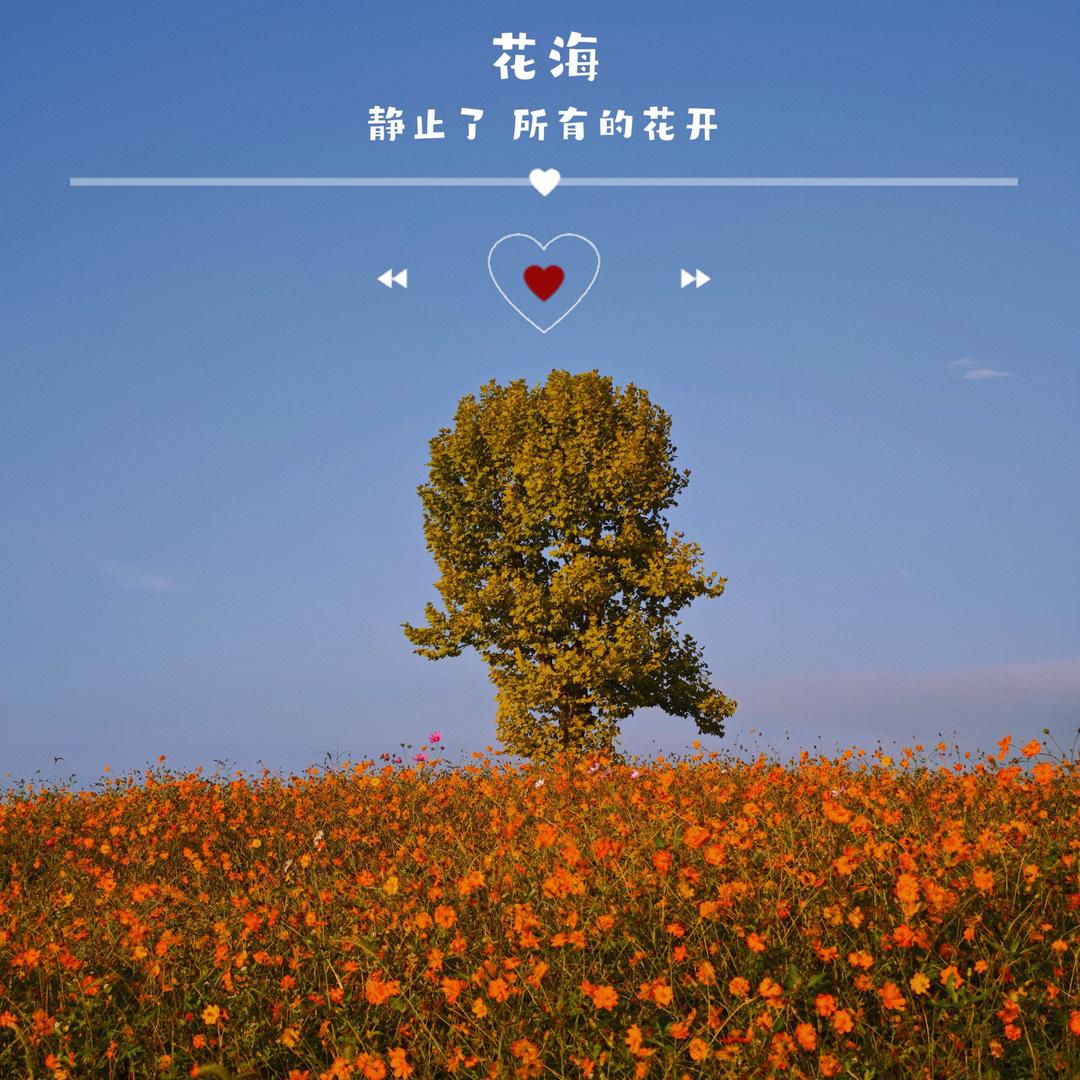 🧚‍♀️Faye🪐