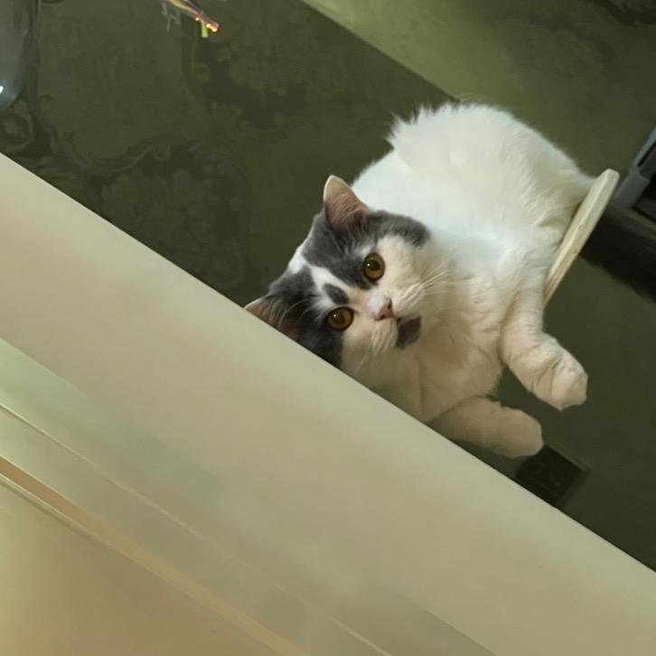 圈圈爱美甲