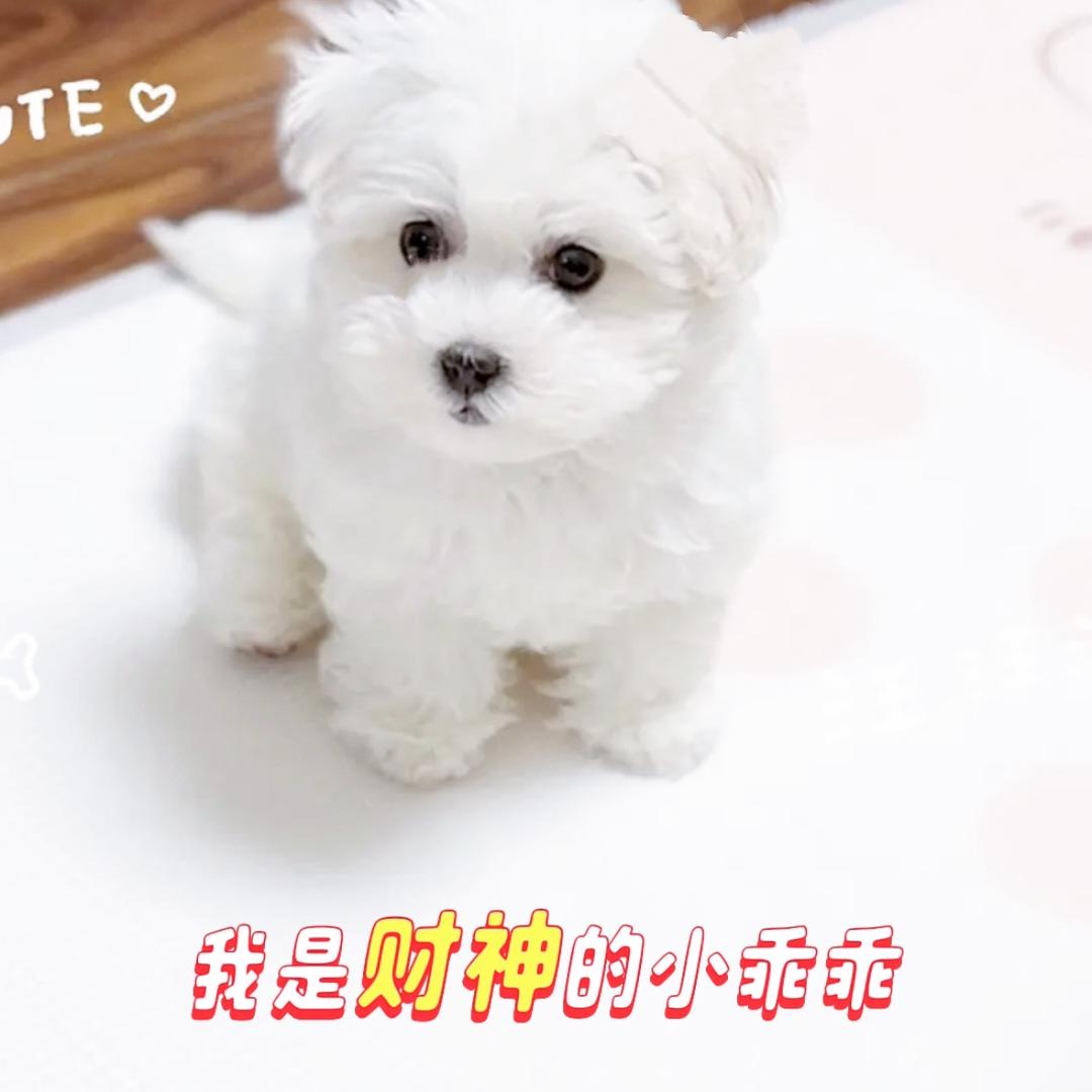 哇哦😋喜宝💜