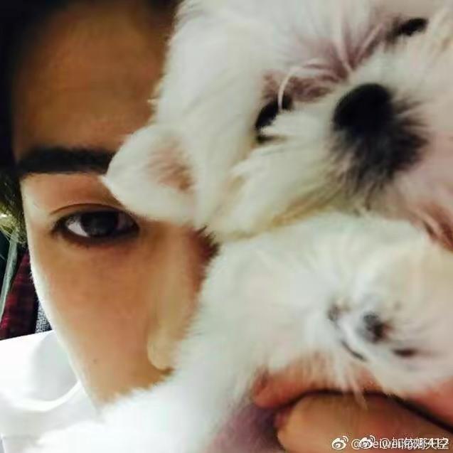 大管家👮‍♀️