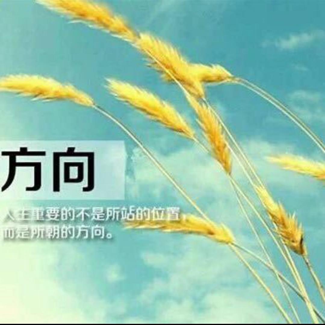 蓝色大海的若水