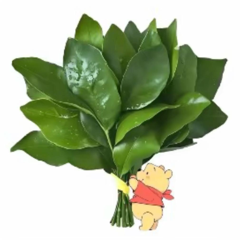 爱困困