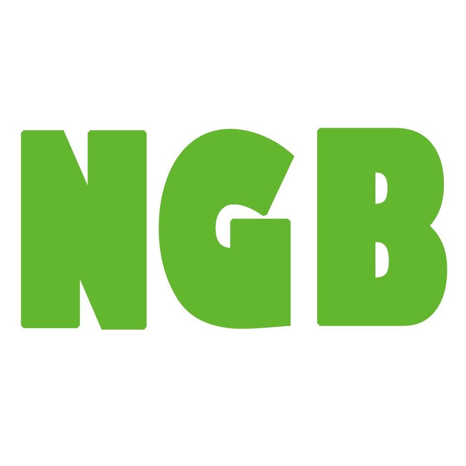 NGB潮玩