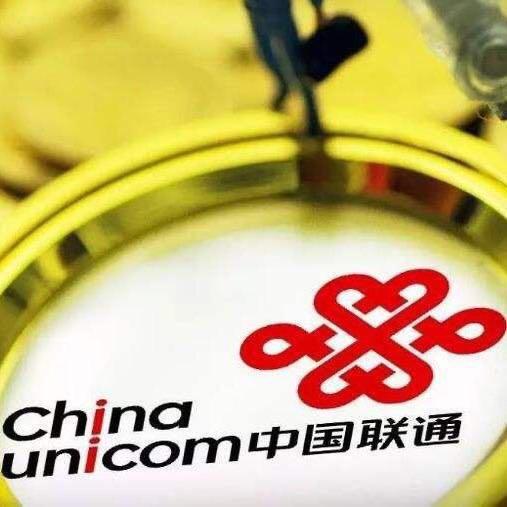 新疆速网网络科技有限公司