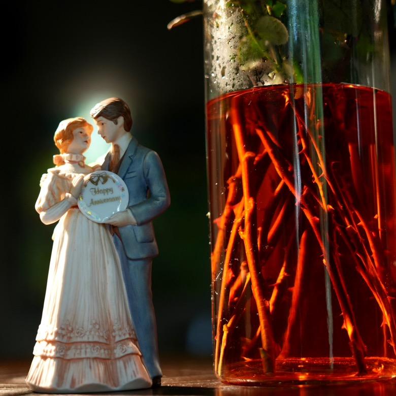 枫殸•加拿大妈妈菜