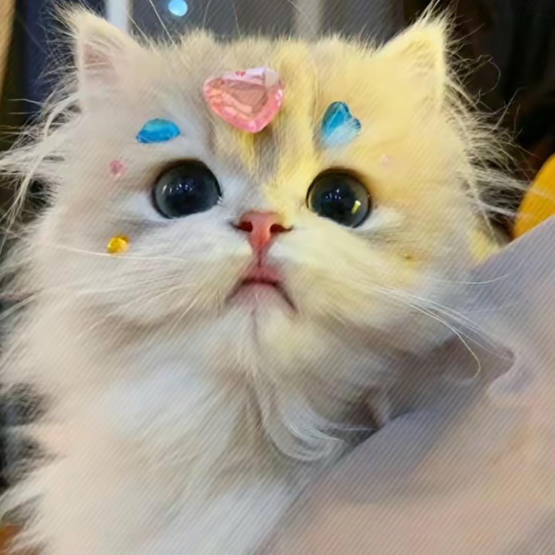 @Yi