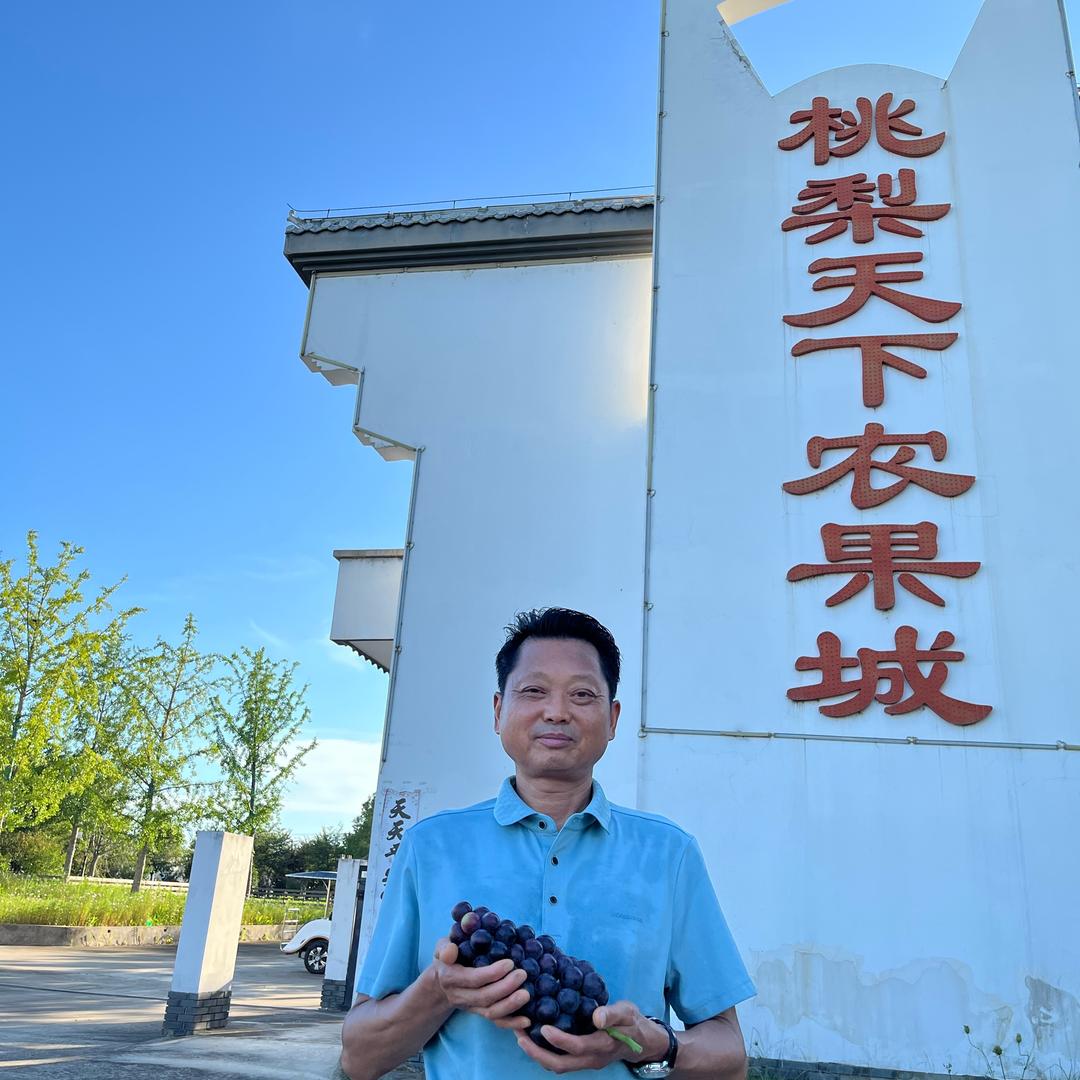 农人王大平