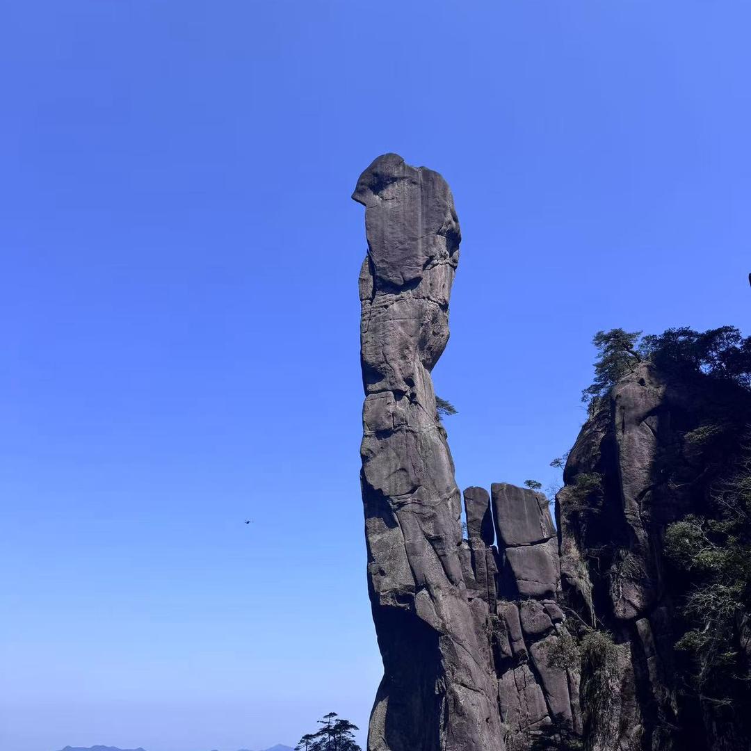 班尼迪克-蛋