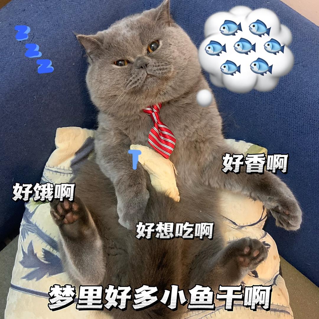 姜憨憨