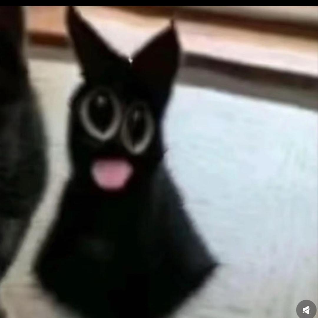 dejj