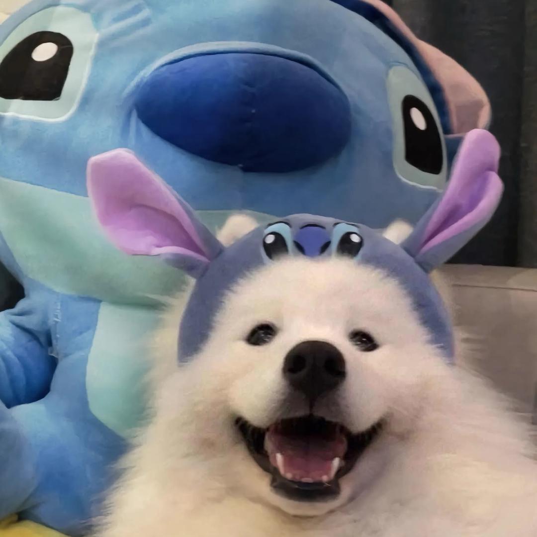珂卡