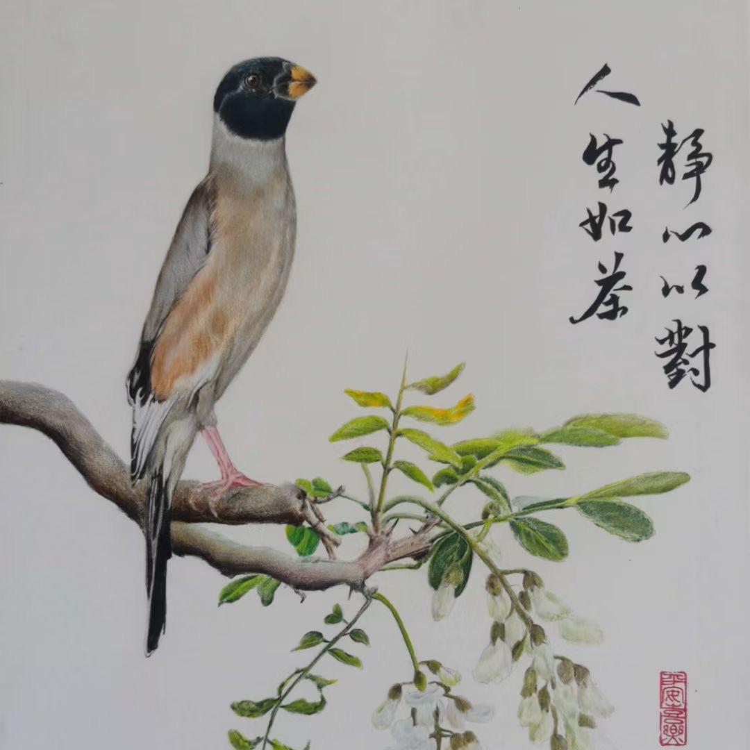 高山流水🦅鑫哥🦅