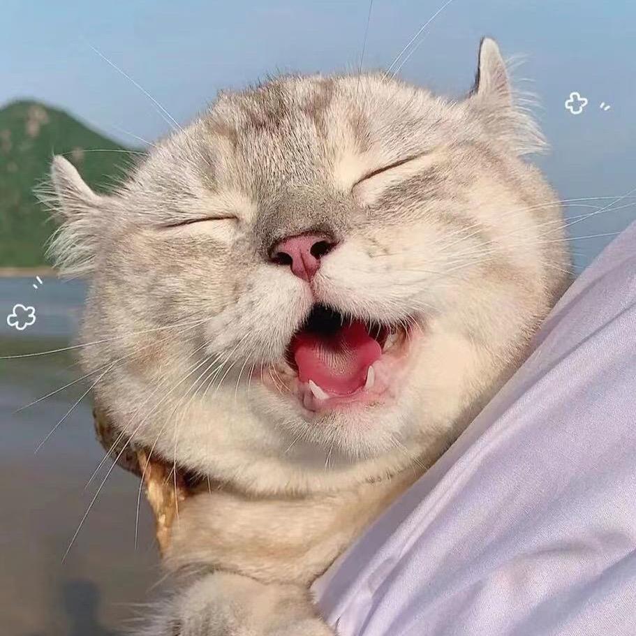 寄星星的快递员