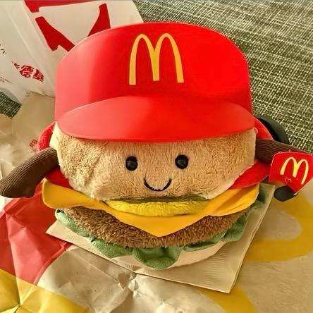 🌈一天吃15个🍔