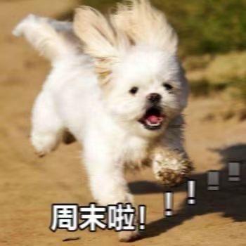 三姑爹（素颜版）🐍🍑