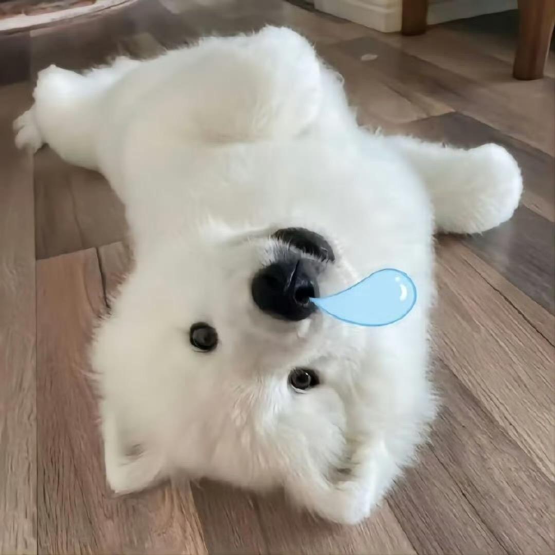 泡泡龙