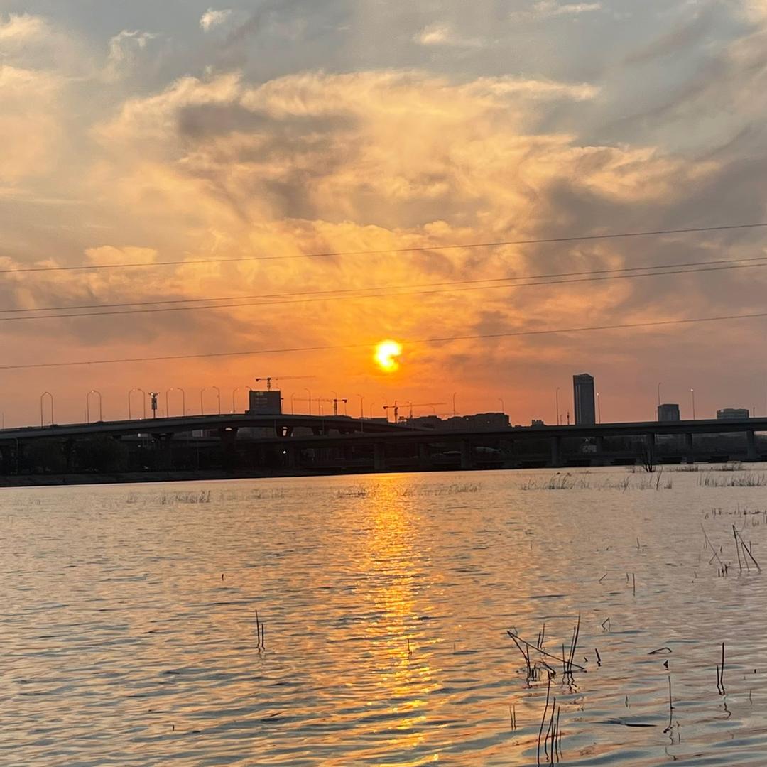 🌈下坡刘一枝花