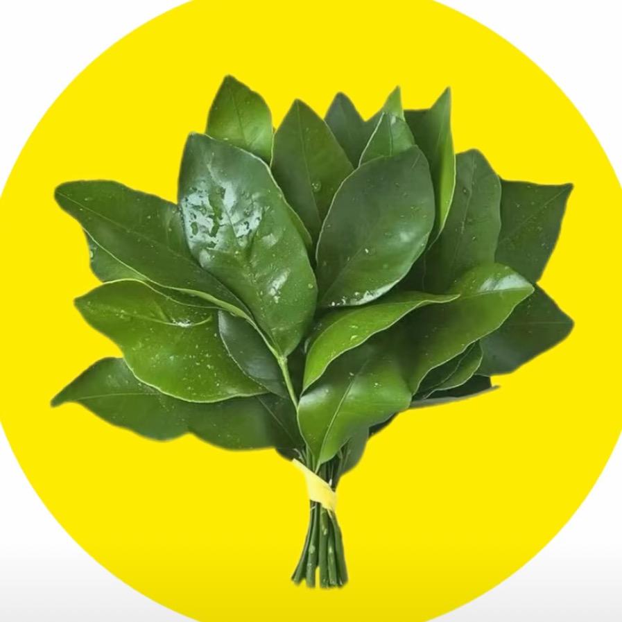 西羽⛰️⛰️⛰️