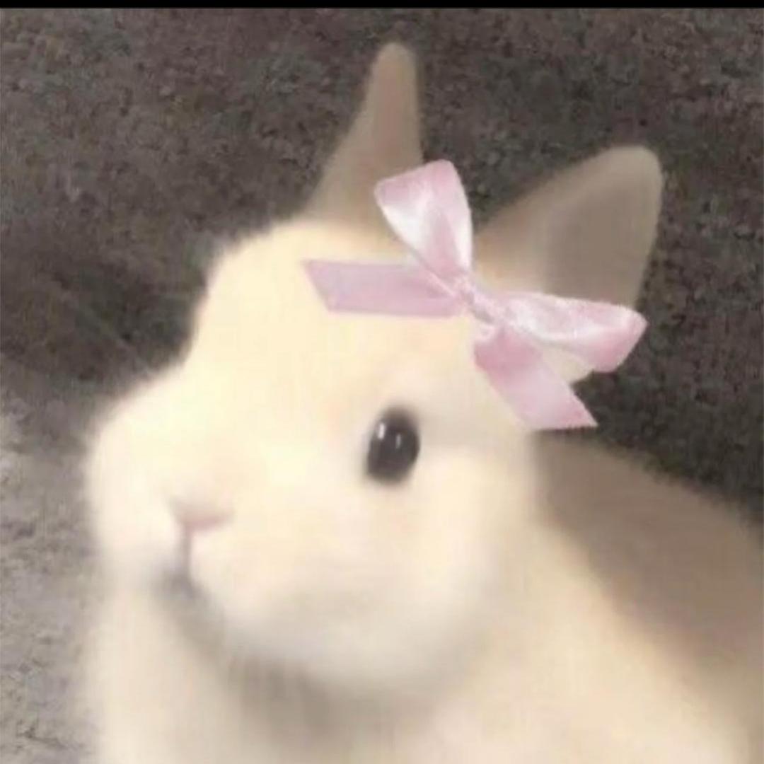 鱼鱼宝宝.