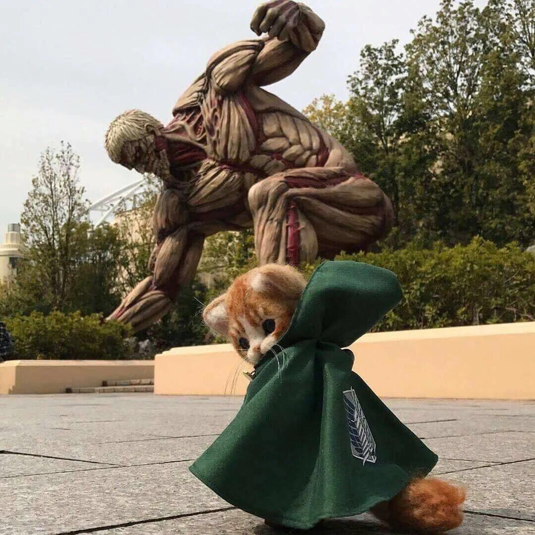 垚