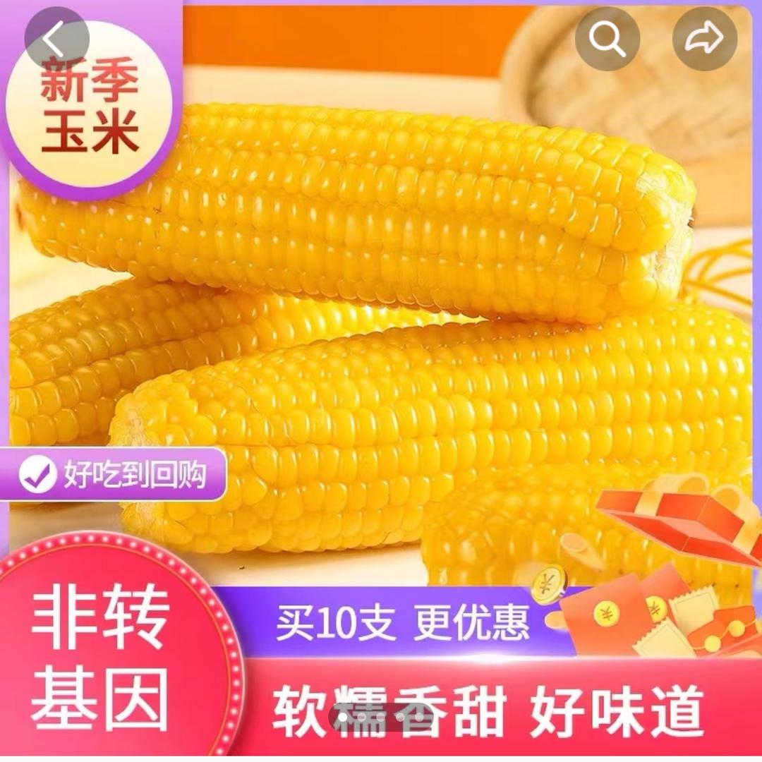 鲜食糯玉米