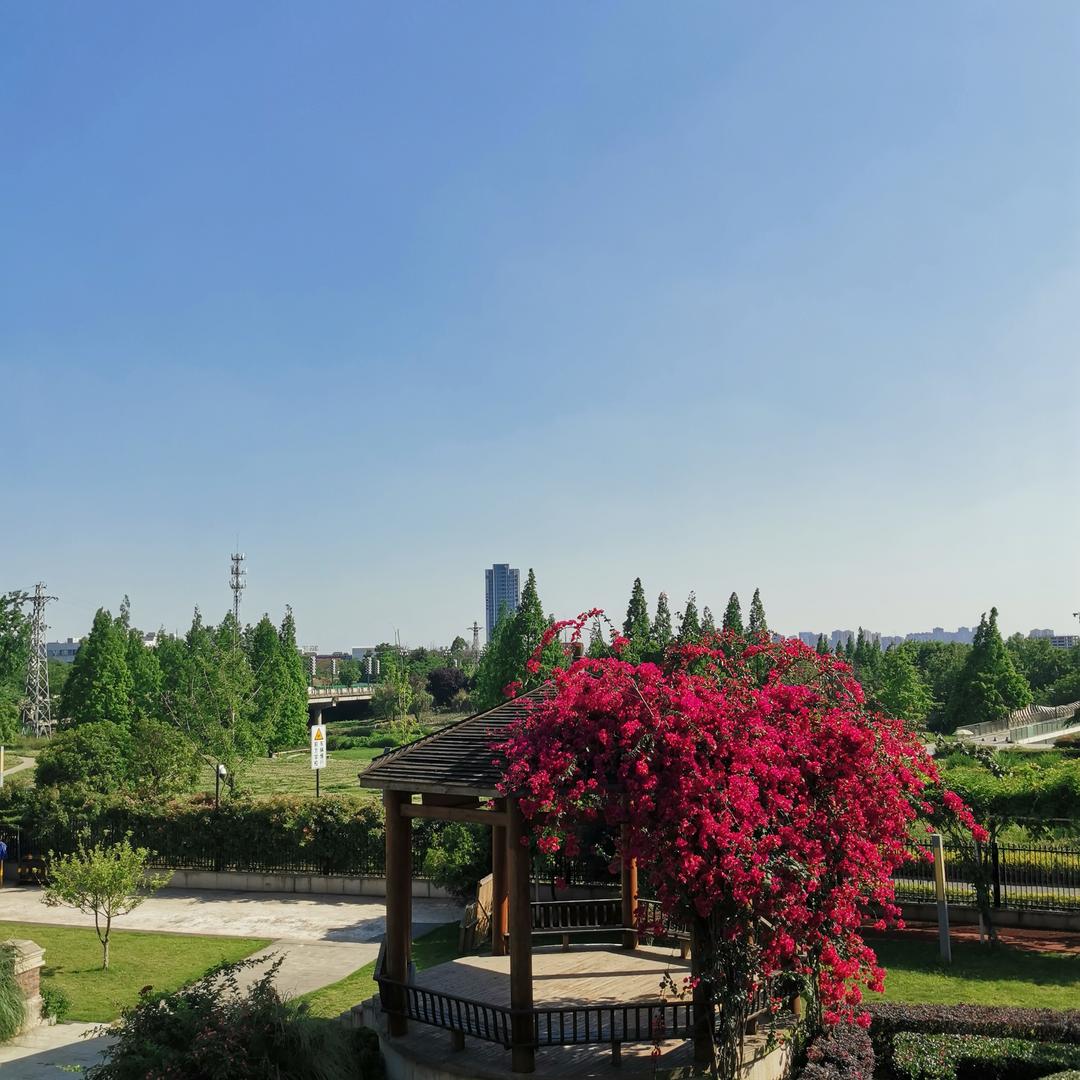 单招升学符老师