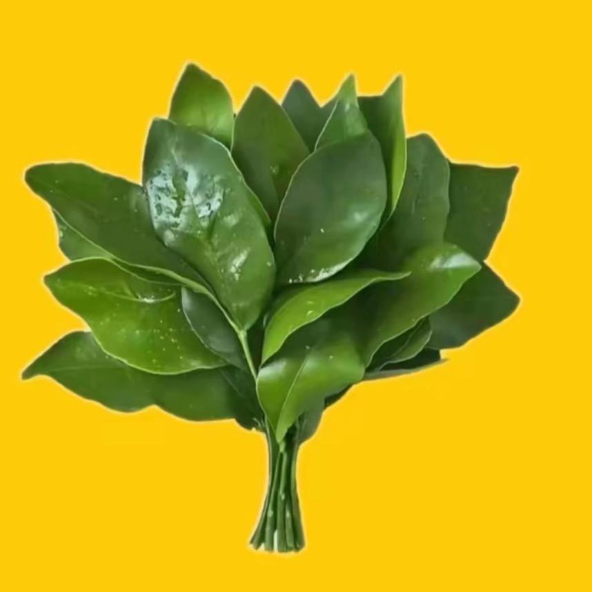 🌻.