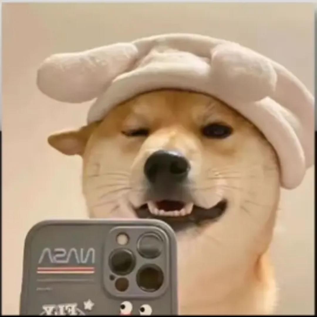 卖女孩的小火柴@111