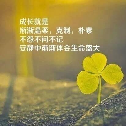 南南阳阳