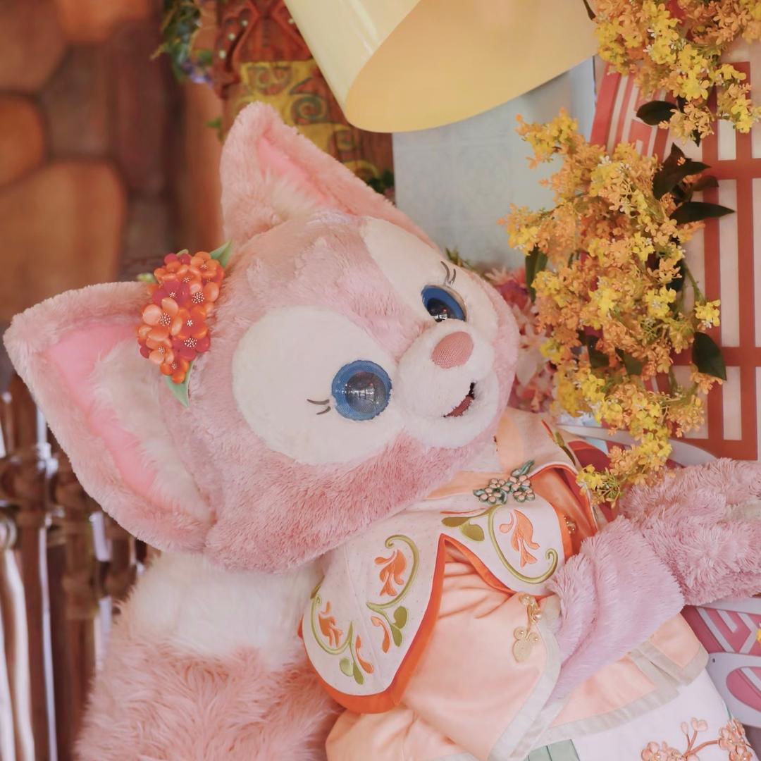 贝贝不是小猪🐷