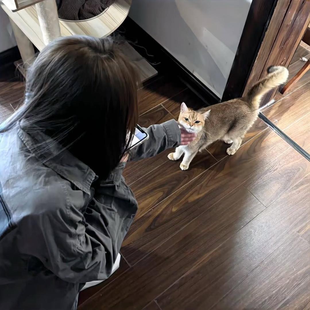 远方传来风笛