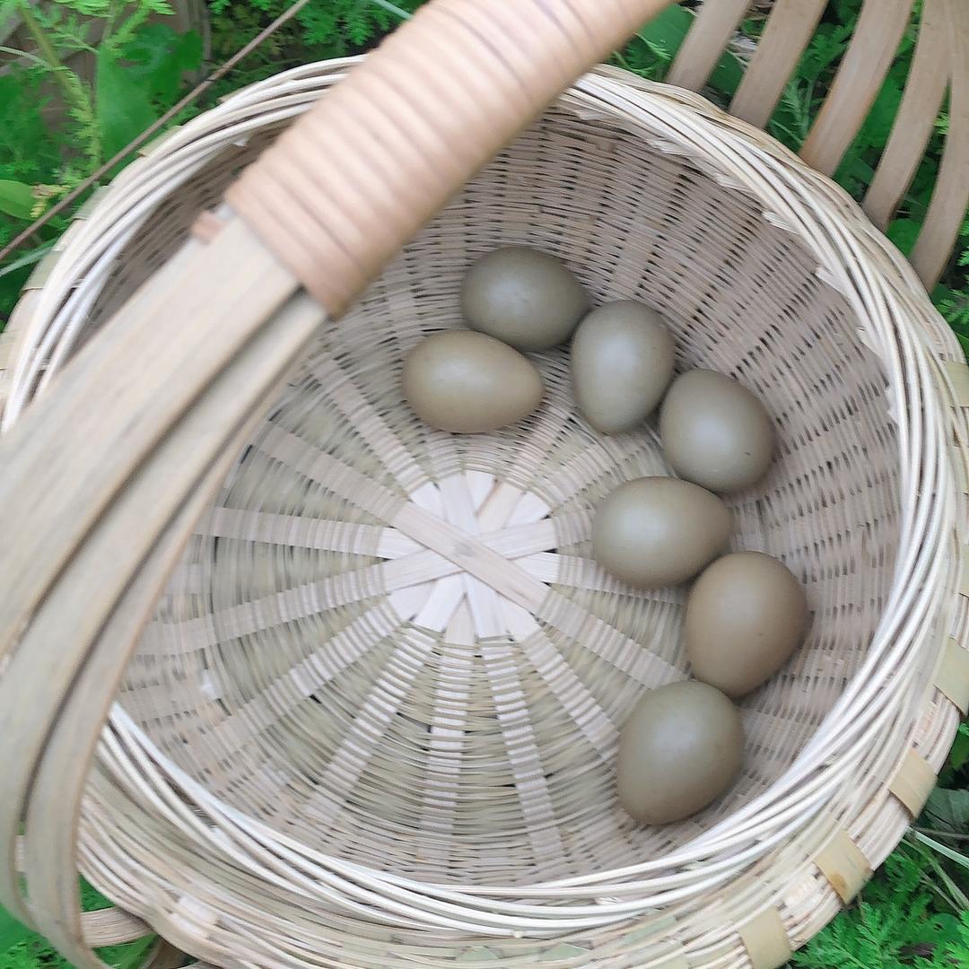 轻松（拒绝连赞）