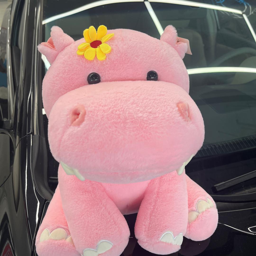 河马好车🦛珊珊