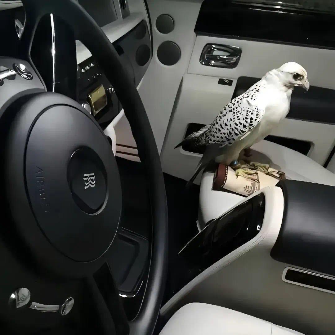 诚益鑫二手车