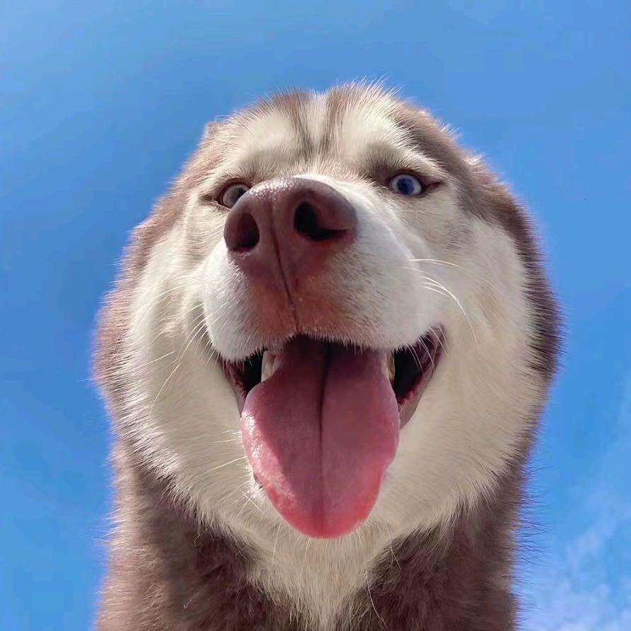 重生之在巴克什摸红