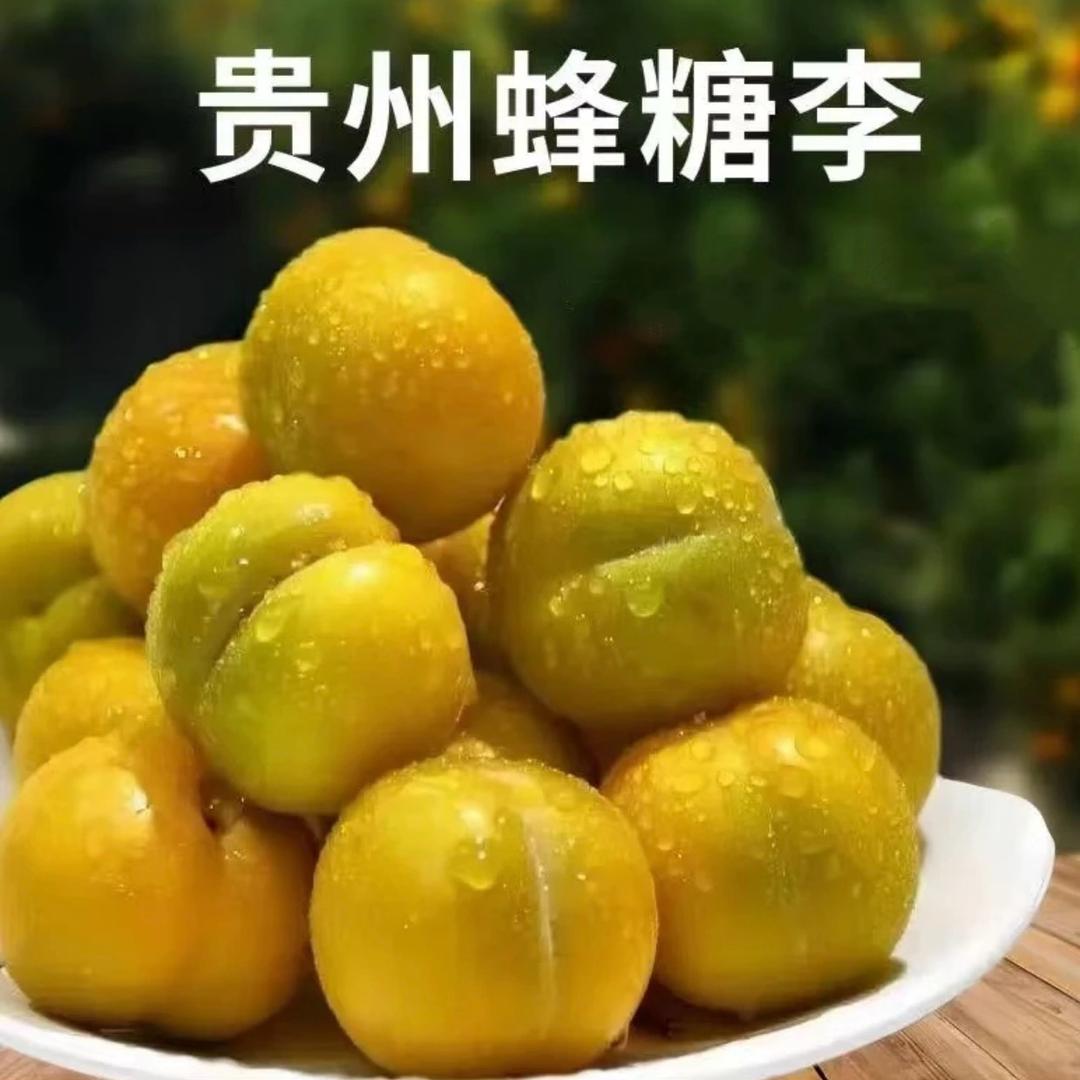 贵州绿优源生态农业科技有限公司