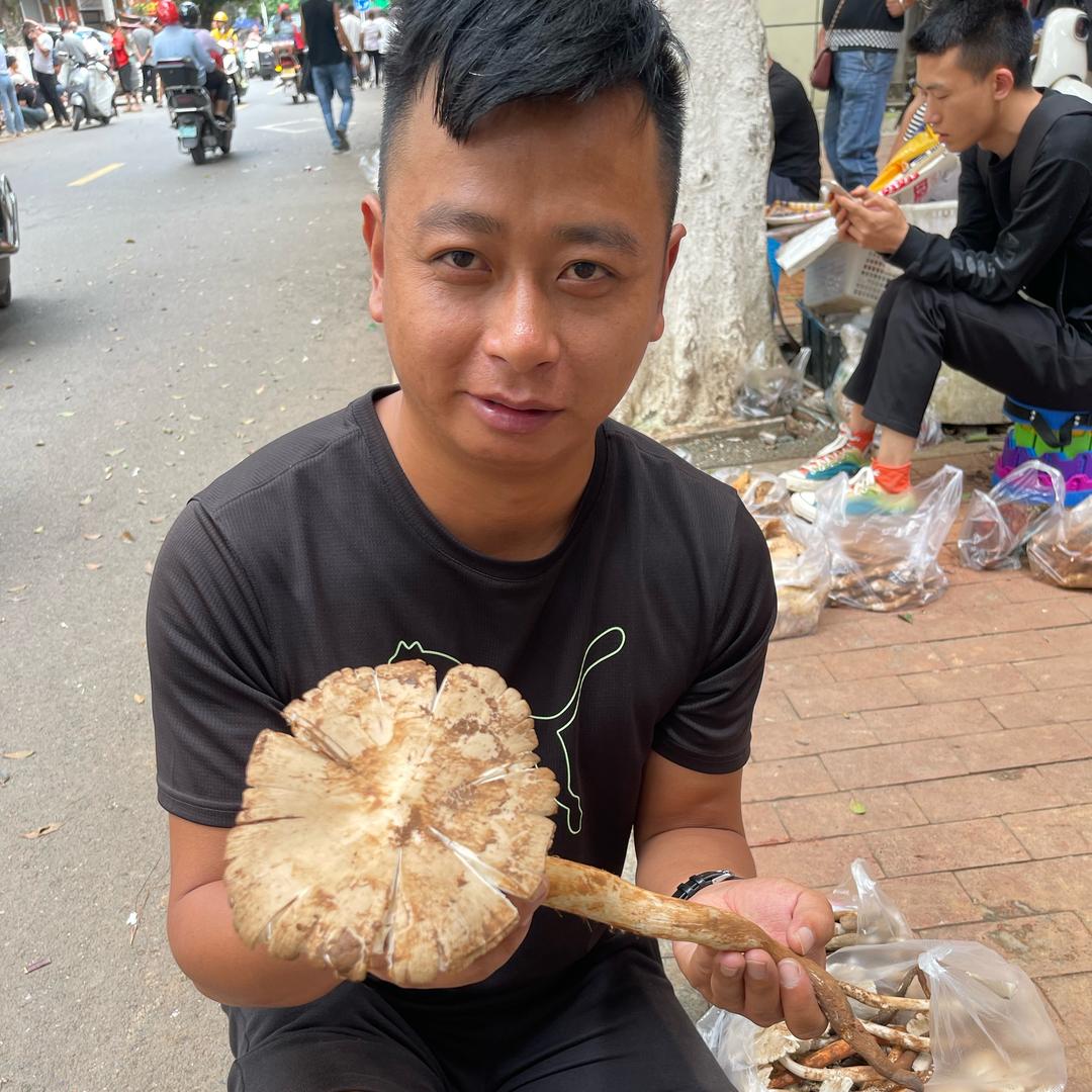 实在甄选