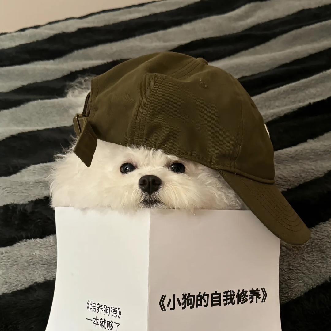 我超甜🍓🍩