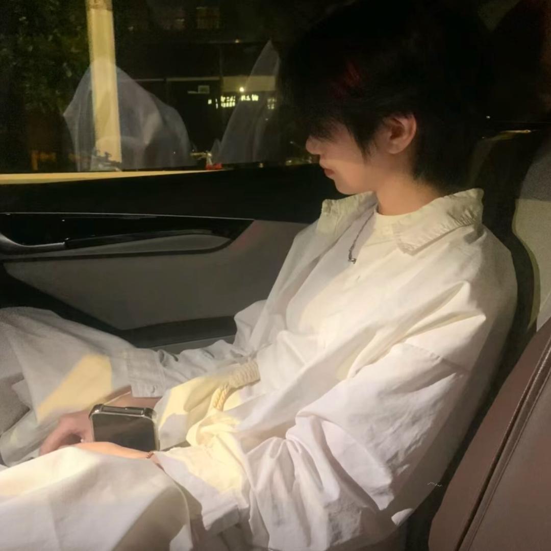 玉楼飞雪